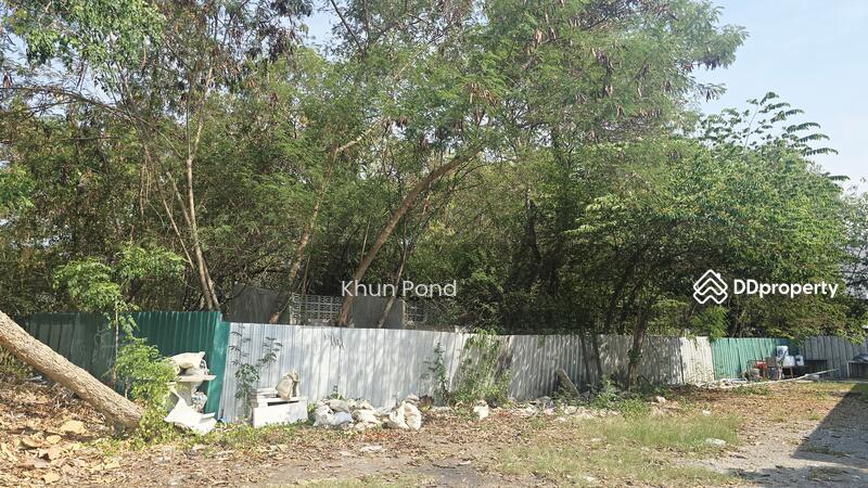 บริเวณด้านหลังที่ดิน
