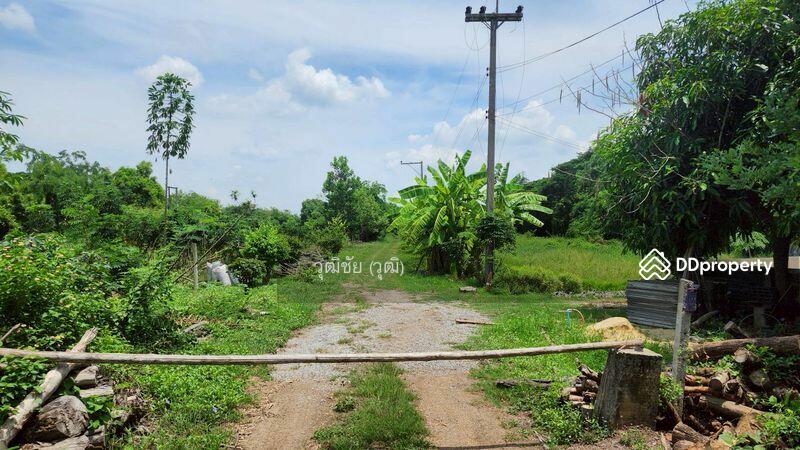 ขาย - ขายที่ดินเปล่า 1 ไร่ อยู่ใกล้กับวัดหนองโรง อำเภอหนองแค จังหวัดสระบุรี, สระบุรี