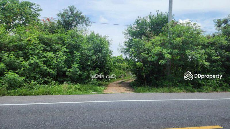 ขาย - ขายที่ดินเปล่า 1 ไร่ อยู่ใกล้กับวัดหนองโรง อำเภอหนองแค จังหวัดสระบุรี, สระบุรี