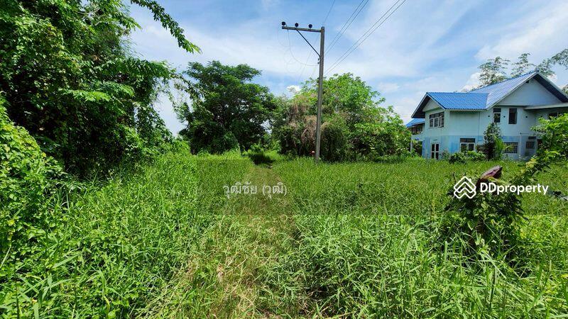 ขาย - ขายที่ดินเปล่า 1 ไร่ อยู่ใกล้กับวัดหนองโรง อำเภอหนองแค จังหวัดสระบุรี, สระบุรี