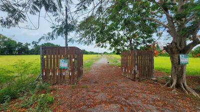 ขาย - ขายที่ดินเปล่า 2 ไร่ อยู่ใกล้กับวัดหนองโรง คลองระพีพัฒน์ อำเภอหนองแค จังหวัดสระบุรี, สระบุรี