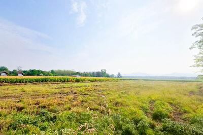 ขาย - WR-874307 ที่ดินเมืองเพชรบูรณ์ 7 ไร่ 208.2 ตร.ว. ใกล้องค์การบริหารส่วนตำบลน้ำร้อน, เพชรบูรณ์