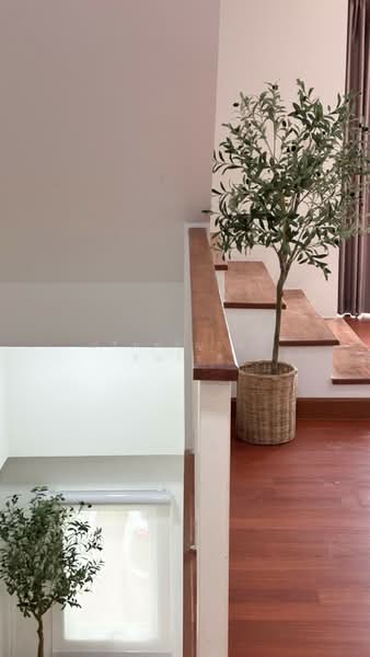 Modern Life On Nut 46-Srinakarin 36, Bangkok, Suan Luang, Suan Luang, Bangkok, 3 Bedrooms, 185 sqm, Townhouse For Rent, by ปรินทร์ญาดา ชิณโชติ, 11877305 - DDproperty.com