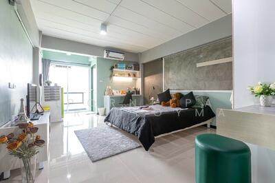 ขาย - Cactus : แค็คตัส, ปทุมธานี