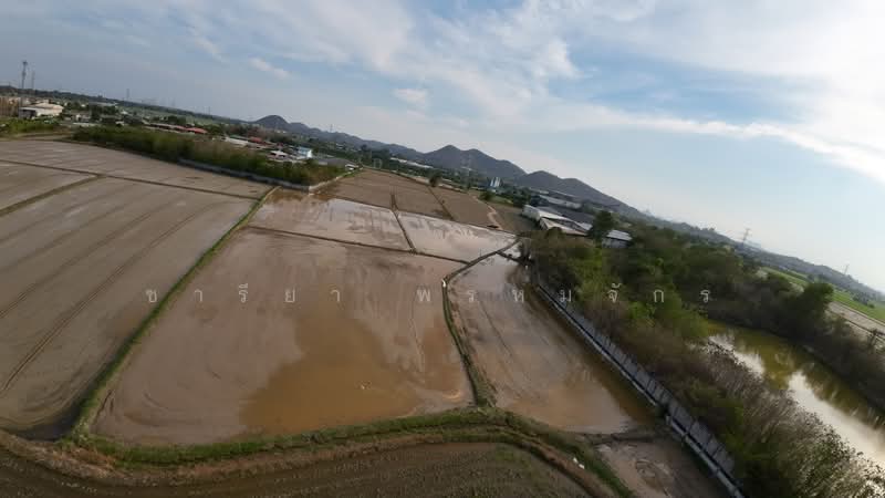 ขาย ที่ดินสวยใกล้เมืองในจังหวัดราชบุรี เพียง 2 กม. ติดถนน 3208 (ทางไปสวนผึ้ง), Ratchaburi, 8641 3208, Chedi Hak, Muang Ratchaburi, Ratchaburi, , 30,624 sqm, Land For Sale, by ชารียา พรหมจักร, 11877584 - DDproperty.com