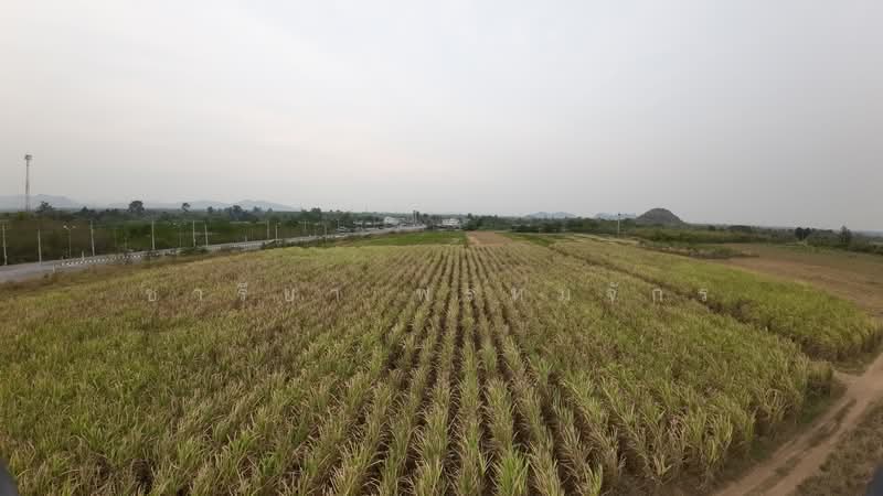 sa, ราชบุรี, 80740 3208, น้ำพุ, เมืองราชบุรี, ราชบุรี, 201,600 ตร.ม., ที่ดิน ขาย, โดย ชารียา พรหมจักร, 11877598 - DDproperty.com