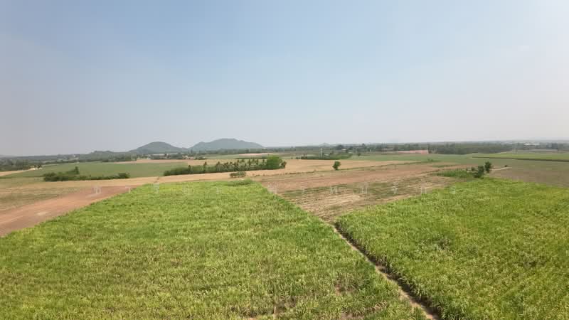 ขายที่ดินแปลงใหญ่ 121 ไร่ ติดถนน–ทำเลทอง หน้าบล็อกวาล์ว ปตท., ราชบุรี, 231433333 บายพาส3274, เบิกไพร, จอมบึง, ราชบุรี, 193,600 ตร.ม., ที่ดิน ขาย, โดย ชารียา พรหมจักร, 11877626 - DDproperty.com