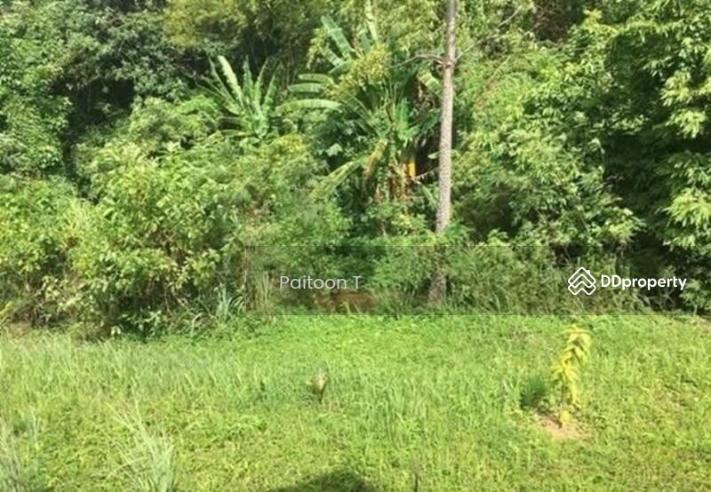 For Rent - Land for rent pak chong, Nakhon Ratchasima