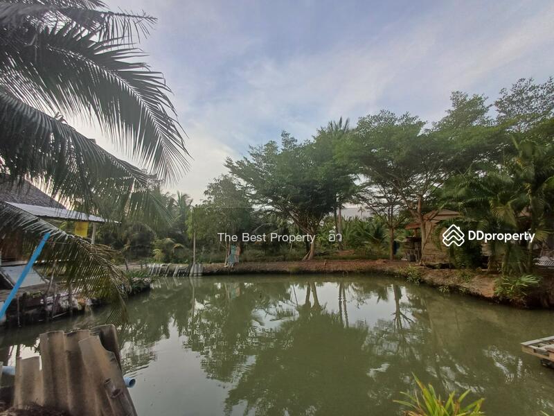 ขาย - บ้านเดี่ยวพร้อมที่ดินลาดใหญ่ สมุทรสงคราม, สมุทรสงคราม