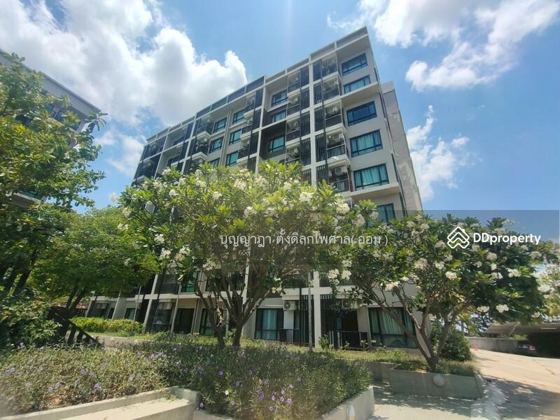 ขาย - Fifth Avenue Campus Condo : ฟิฟ อเวนิว แคมปัส คอนโด, นครปฐม