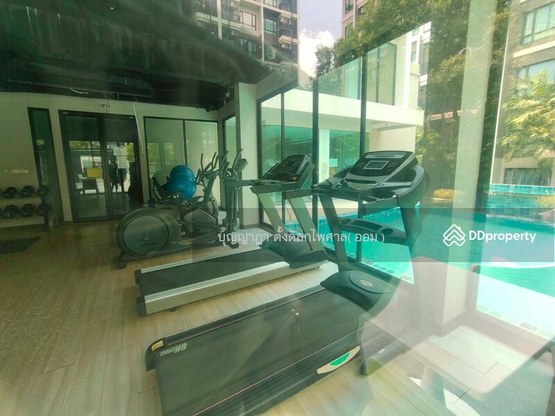 ขาย - Fifth Avenue Campus Condo : ฟิฟ อเวนิว แคมปัส คอนโด, นครปฐม