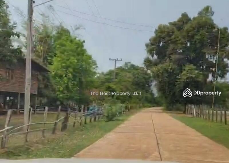 ขาย - ที่ดินนาหว้า นครพนม, นครพนม