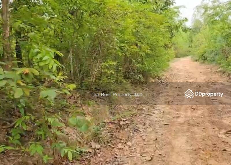 ขาย - ที่ดินนาหว้า นครพนม, นครพนม