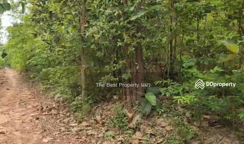 ขาย - ที่ดินนาหว้า นครพนม, นครพนม