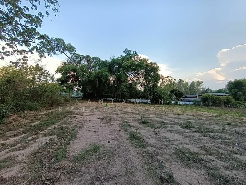 ขายที่ดินเปล่าติดหลักถนนพหลโยธิน (ทางหลวง 106) อ.ลี้ จ.ลำพูน, ลำพูน, พหลโยธิน 106, ดงดำ, ลี้, ลำพูน, 1,657 ตร.ม., ที่ดิน ขาย, โดย Nantawan Rattanapong, 11878762 - DDproperty.com