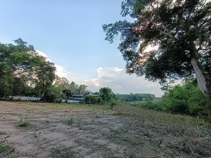 ขายที่ดินเปล่าติดหลักถนนพหลโยธิน (ทางหลวง 106) อ.ลี้ จ.ลำพูน, ลำพูน, พหลโยธิน 106, ดงดำ, ลี้, ลำพูน, 1,657 ตร.ม., ที่ดิน ขาย, โดย Nantawan Rattanapong, 11878762 - DDproperty.com