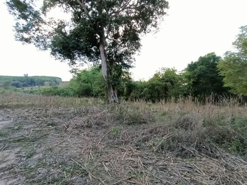 ขายที่ดินเปล่าติดหลักถนนพหลโยธิน (ทางหลวง 106) อ.ลี้ จ.ลำพูน, ลำพูน, พหลโยธิน 106, ดงดำ, ลี้, ลำพูน, 1,657 ตร.ม., ที่ดิน ขาย, โดย Nantawan Rattanapong, 11878762 - DDproperty.com