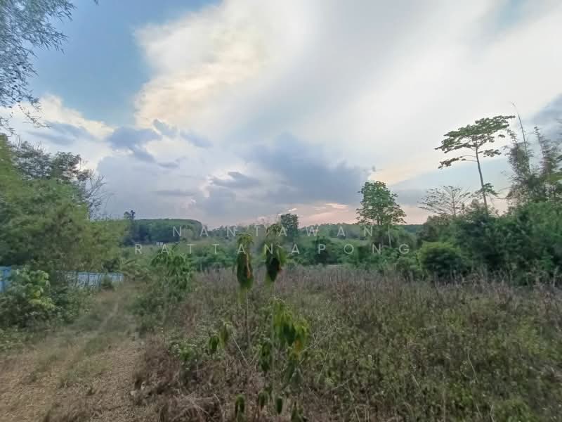 ขายที่ดินเปล่าติดหลักถนนพหลโยธิน (ทางหลวง 106) อ.ลี้ จ.ลำพูน, ลำพูน, พหลโยธิน 106, ดงดำ, ลี้, ลำพูน, 1,657 ตร.ม., ที่ดิน ขาย, โดย Nantawan Rattanapong, 11878762 - DDproperty.com