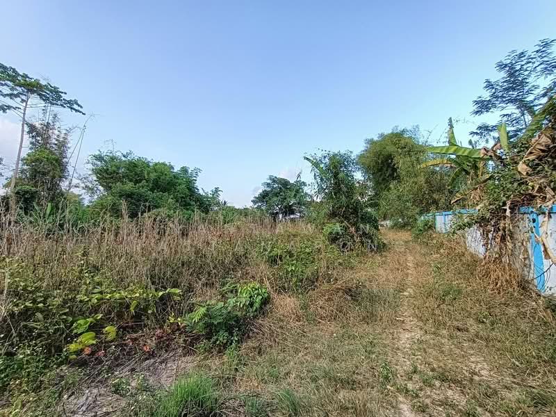 Land for sale next to Phahon Yothin rd. (Main road no. 106) Li, Lamphun, Lamphun, พหลโยธิน 106, Dong Dam, Li, Lamphun, , 1,657 sqm, Land For Sale, by Nantawan Rattanapong, 11878762 - DDproperty.com