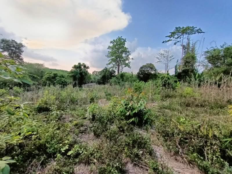 Land for sale next to Phahon Yothin rd. (Main road no. 106) Li, Lamphun, Lamphun, พหลโยธิน 106, Dong Dam, Li, Lamphun, , 1,657 sqm, Land For Sale, by Nantawan Rattanapong, 11878762 - DDproperty.com