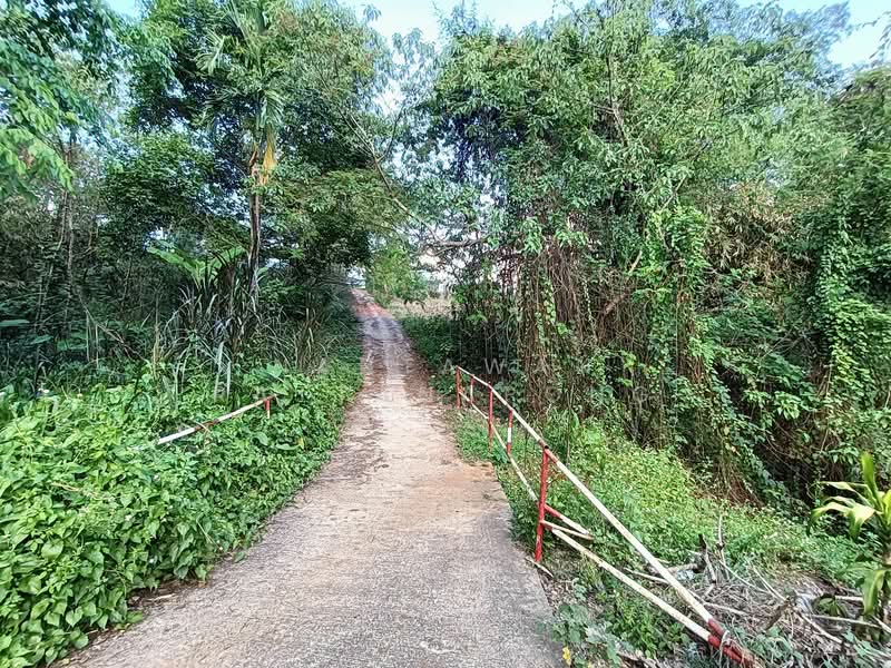 Land for sale next to Phahon Yothin rd. (Main road no. 106) Li, Lamphun, Lamphun, พหลโยธิน 106, Dong Dam, Li, Lamphun, , 1,657 sqm, Land For Sale, by Nantawan Rattanapong, 11878762 - DDproperty.com