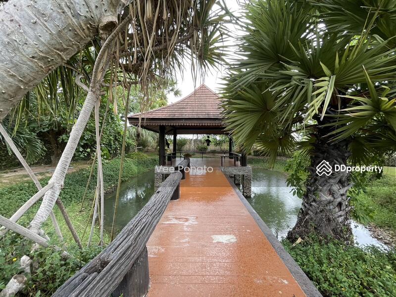 ขาย - Hana Village : ฮานา วิลเลจ, ประจวบคีรีขันธ์