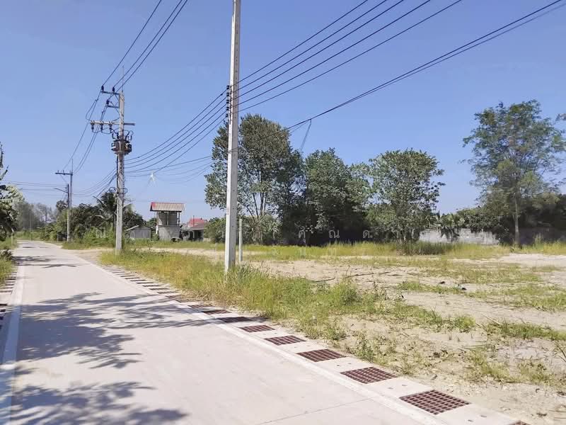 พัทยาฝั่งเขา - ซอยเขามะกอก ตำบลห้วยใหญ่ อำเภอบางละมุง จังหวัดชลบุรี, ชลบุรี, ถนนซอยเขามะกอก, ห้วยใหญ่, บางละมุง, ชลบุรี, 2,228 ตร.ม., ที่ดิน ขาย, โดย ณิชาภา (คุณดาว) เพียจันทร์, 11878866 - DDproperty.com