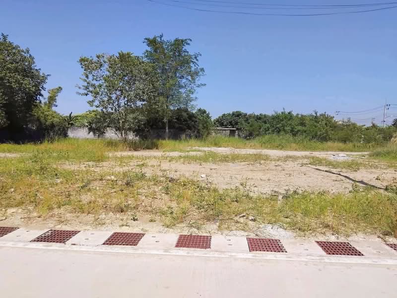 พัทยาฝั่งเขา - ซอยเขามะกอก ตำบลห้วยใหญ่ อำเภอบางละมุง จังหวัดชลบุรี, ชลบุรี, ถนนซอยเขามะกอก, ห้วยใหญ่, บางละมุง, ชลบุรี, 2,228 ตร.ม., ที่ดิน ขาย, โดย ณิชาภา (คุณดาว) เพียจันทร์, 11878866 - DDproperty.com