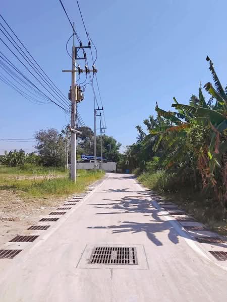 พัทยาฝั่งเขา - ซอยเขามะกอก ตำบลห้วยใหญ่ อำเภอบางละมุง จังหวัดชลบุรี, ชลบุรี, ถนนซอยเขามะกอก, ห้วยใหญ่, บางละมุง, ชลบุรี, 2,228 ตร.ม., ที่ดิน ขาย, โดย ณิชาภา (คุณดาว) เพียจันทร์, 11878866 - DDproperty.com