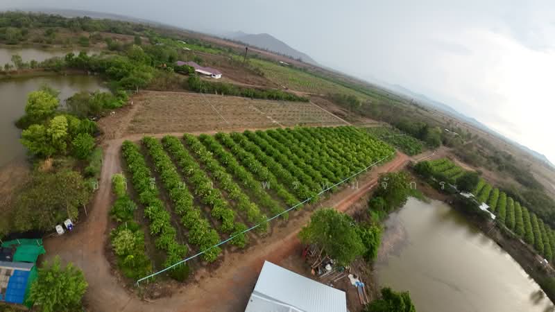 ขายที่ดินเปล่า 30 ไร่ อ.เมืองราชบุรี ติดอ่างเก็บน้ำห้วยไม้เต็ง วิวเขื่อน น้ำใช้ทั้งปี, Ratchaburi, 3208, Nam Phu, Muang Ratchaburi, Ratchaburi, , 48,000 sqm, Land For Sale, by ชารียา พรหมจักร, 11878952 - DDproperty.com