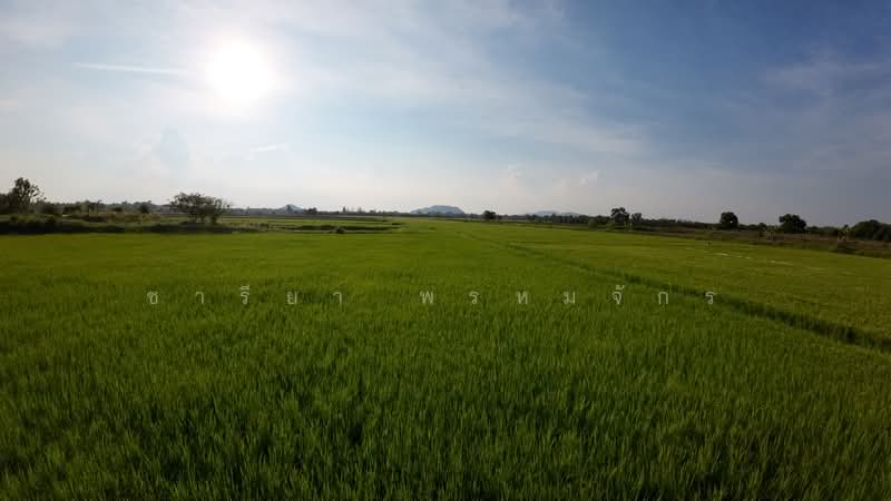 ขายที่ดิน 27 ไร่ ติดเส้นบายพาสอ.จอมบึง–กาญจนบุรี–สวนผึ้ง ใกล้เมือง 3–5 กม., Ratchaburi, 3087, Chom Bung, Chom Bung, Ratchaburi, , 45,776 sqm, Land For Sale, by ชารียา พรหมจักร, 11878966 - DDproperty.com