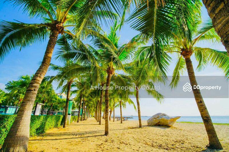 ขาย - Casalunar Paradiso : คาซาลูน่า พาราดิโซ, ชลบุรี