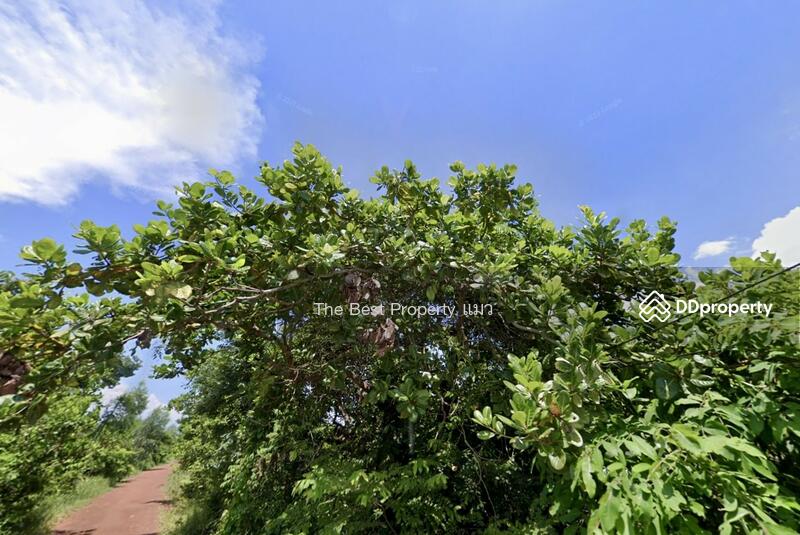 ขาย - ที่ดินขามเฒ่า นครพนม, นครพนม