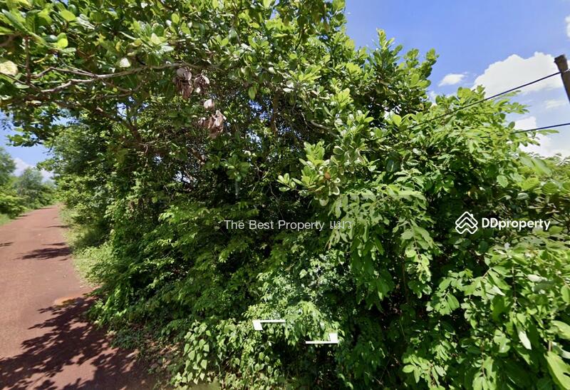 ขาย - ที่ดินขามเฒ่า นครพนม, นครพนม