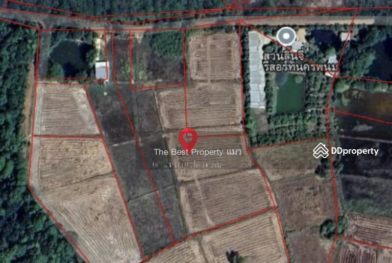 ขาย - ที่ดินขามเฒ่า นครพนม, นครพนม