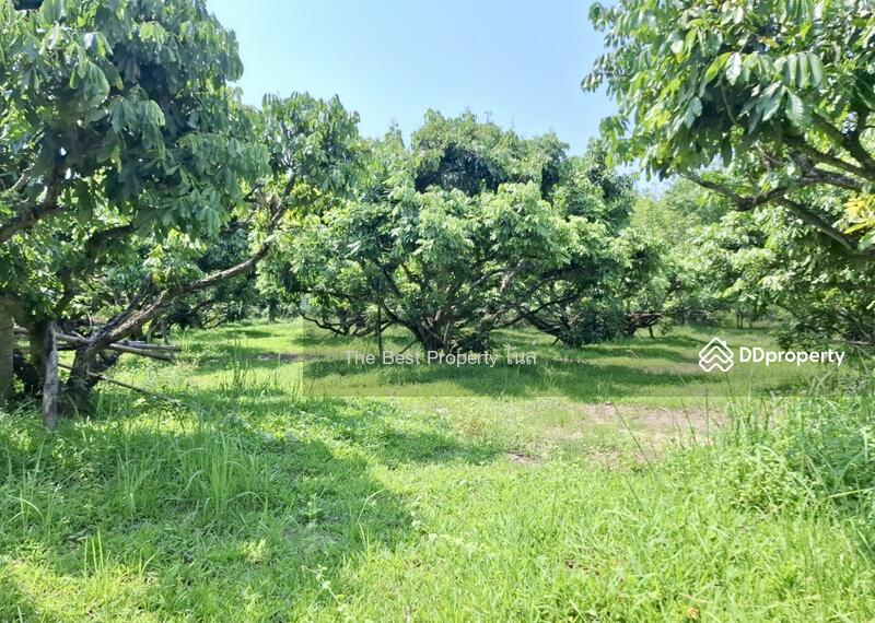ขาย - ที่ดินเทิง เชียงราย, เชียงราย
