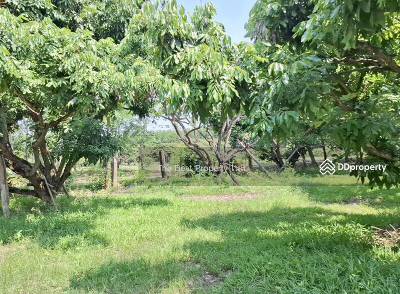 ขาย - ที่ดินเทิง เชียงราย, เชียงราย