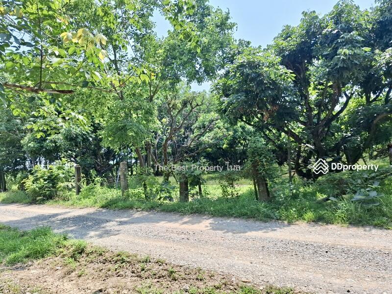 ขาย - ที่ดินเทิง เชียงราย, เชียงราย
