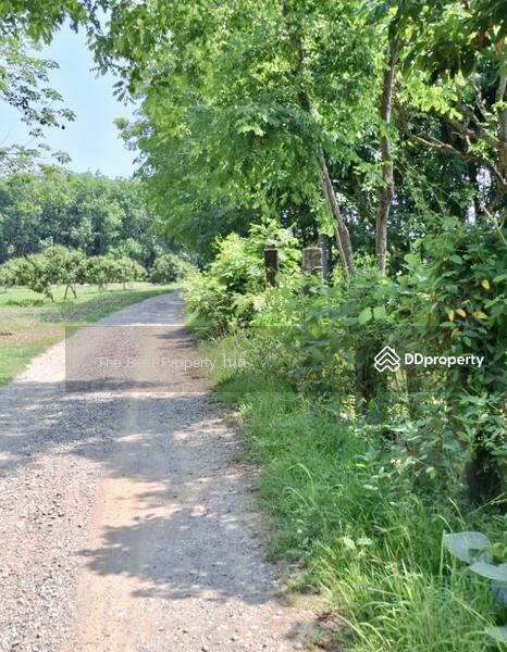 ขาย - ที่ดินเทิง เชียงราย, เชียงราย