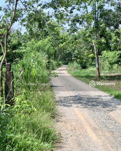 ขาย - ที่ดินเทิง เชียงราย, เชียงราย