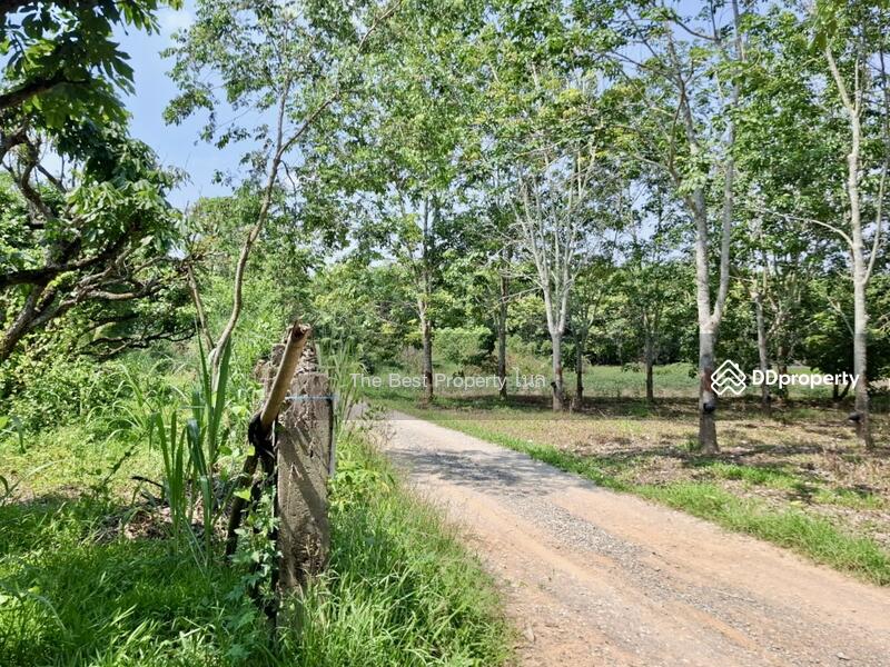 ขาย - ที่ดินเทิง เชียงราย, เชียงราย