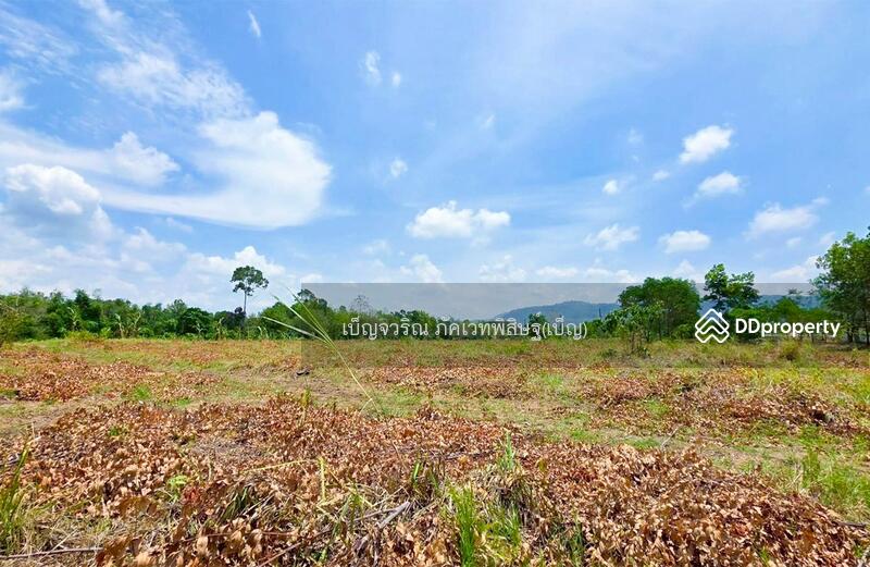 For Sale - WR-874308 Land in Nadi 27 rai 389 sq.w, Prachin Buri, near Tap Lan National Park, Prachin Buri