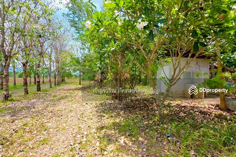 For Sale - WR-874308 Land in Nadi 27 rai 389 sq.w, Prachin Buri, near Tap Lan National Park, Prachin Buri
