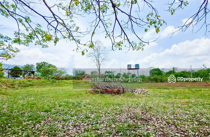 For Sale - WR-874308 Land in Nadi 27 rai 389 sq.w, Prachin Buri, near Tap Lan National Park, Prachin Buri