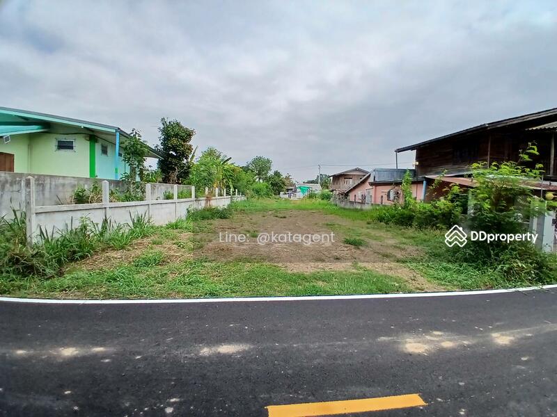 For Sale - Land Phongthong ,Roi-Ed, Roi Et