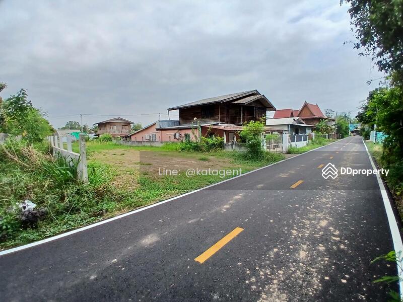 For Sale - Land Phongthong ,Roi-Ed, Roi Et