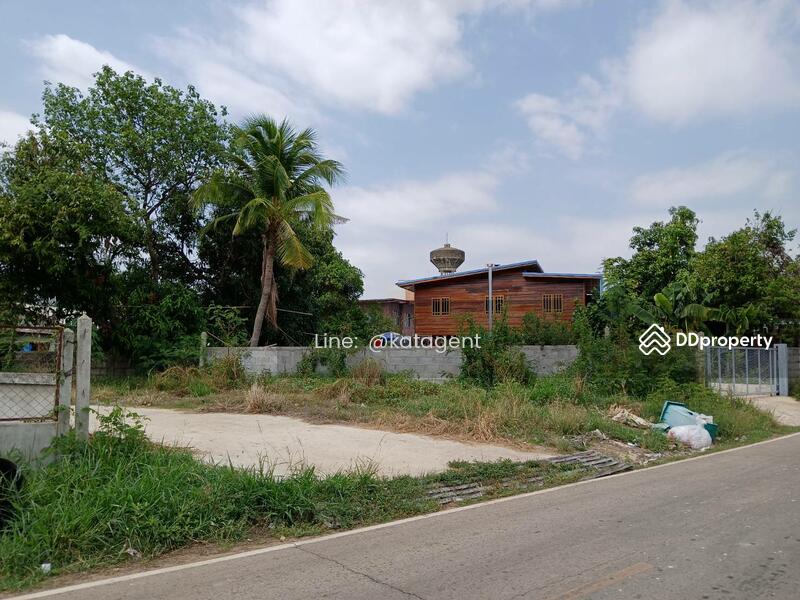 For Sale - Land Phongthong ,Roi-Ed, Roi Et
