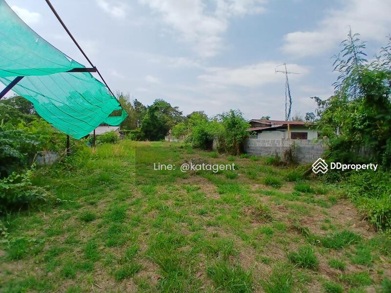 For Sale - Land Phongthong ,Roi-Ed, Roi Et