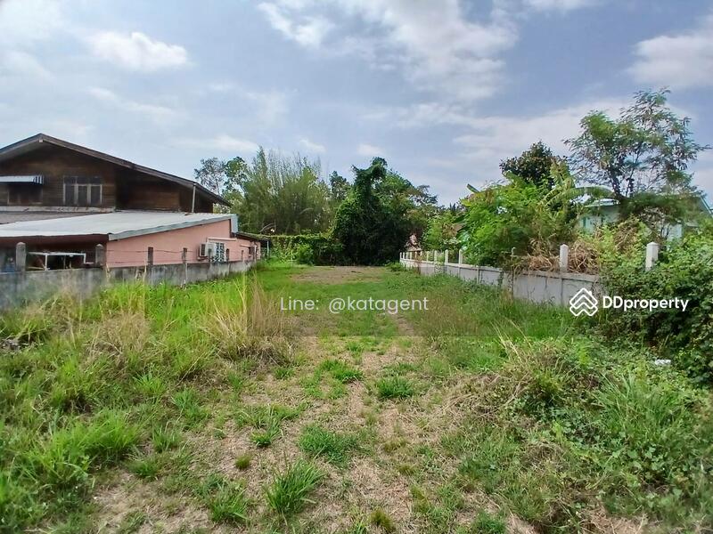 For Sale - Land Phongthong ,Roi-Ed, Roi Et