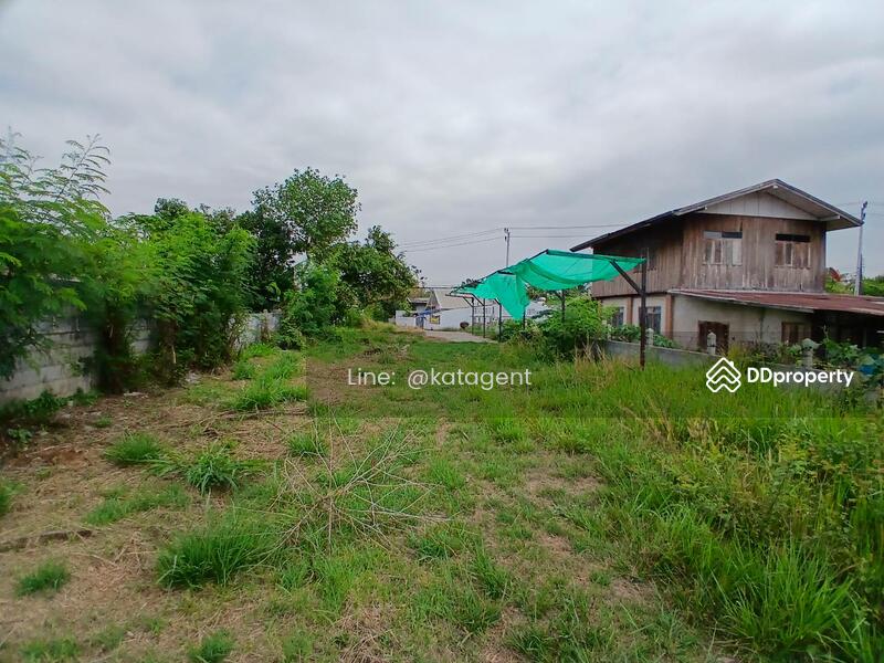 For Sale - Land Phongthong ,Roi-Ed, Roi Et